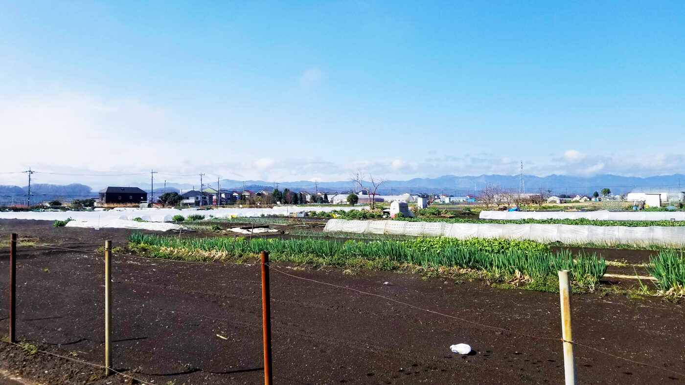 あきる野市の農村風景