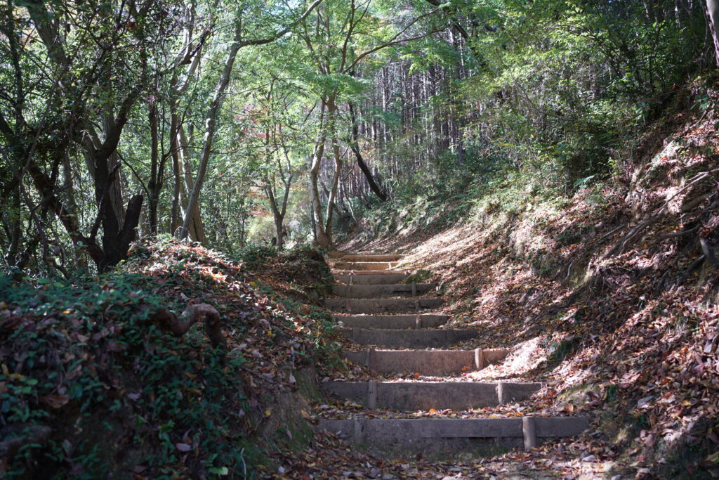 弁天山の山道