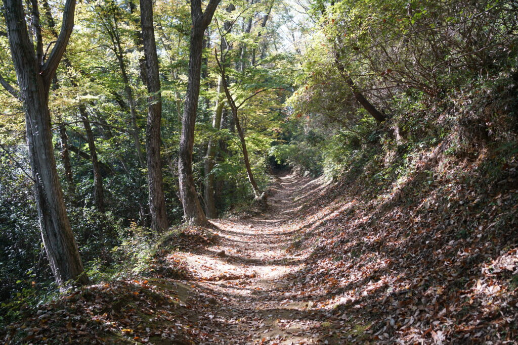 弁天山の山道