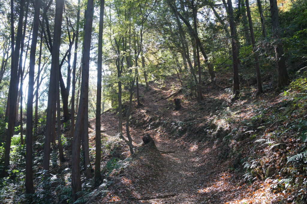 弁天山の山道