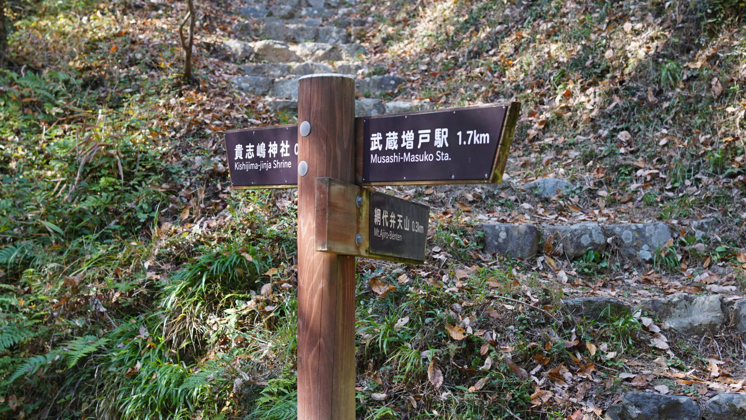 貴志嶋神社と山頂への分岐