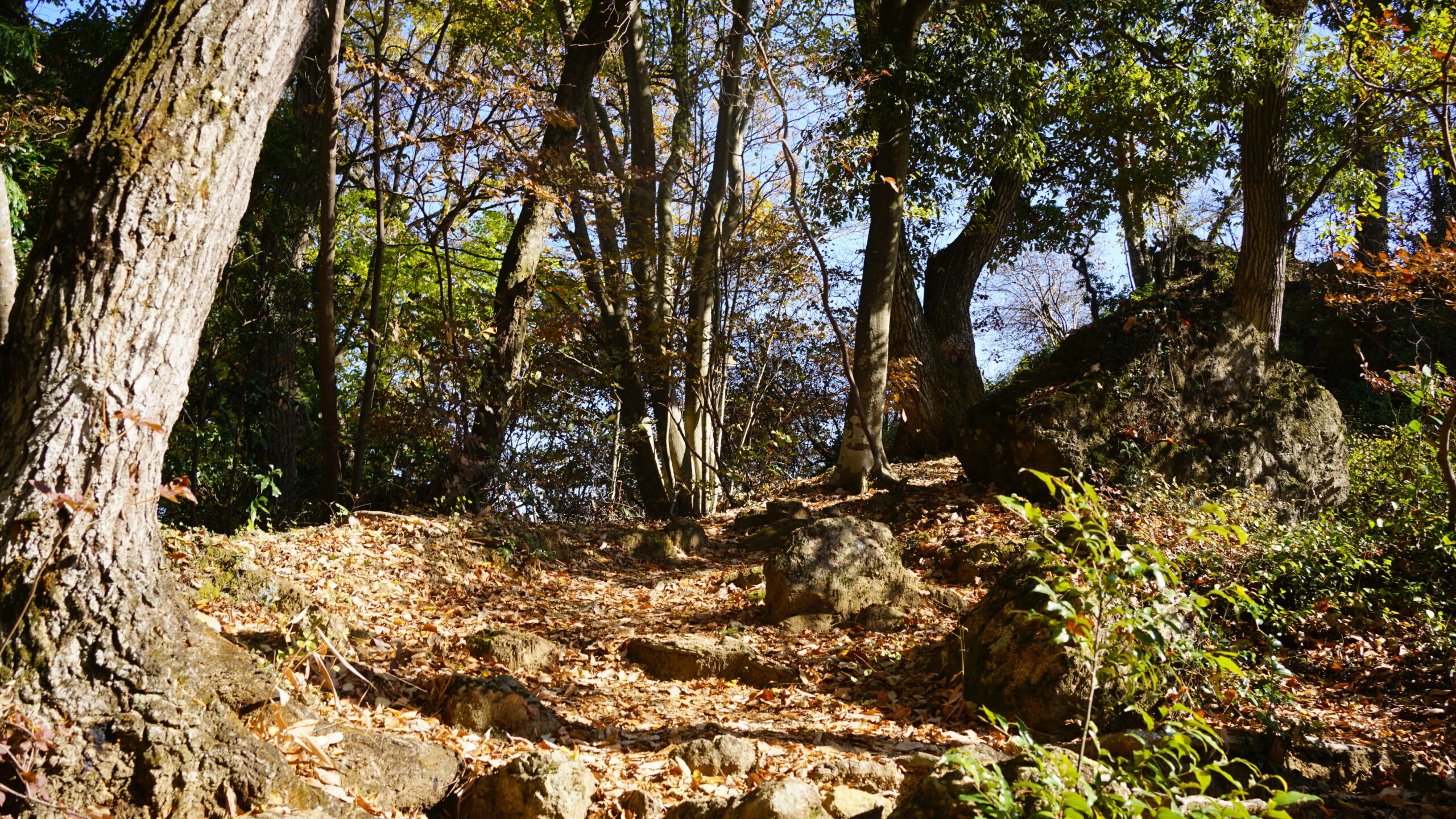 弁天山の山頂への道