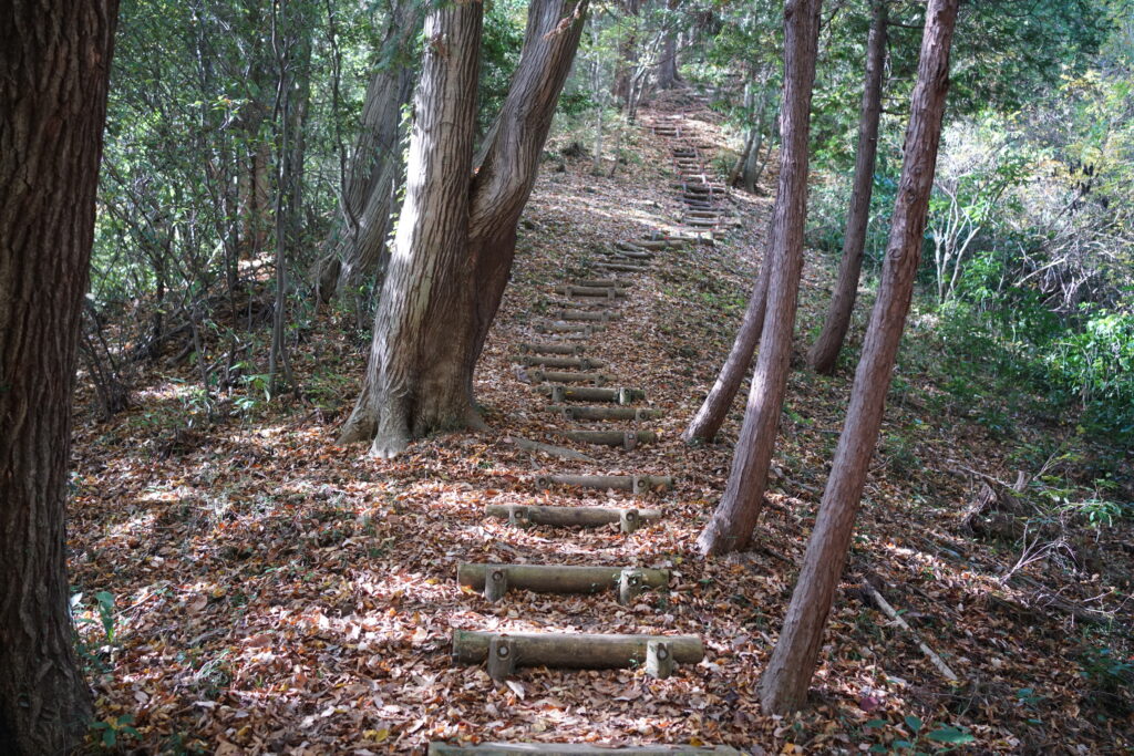 弁天山から城山への道