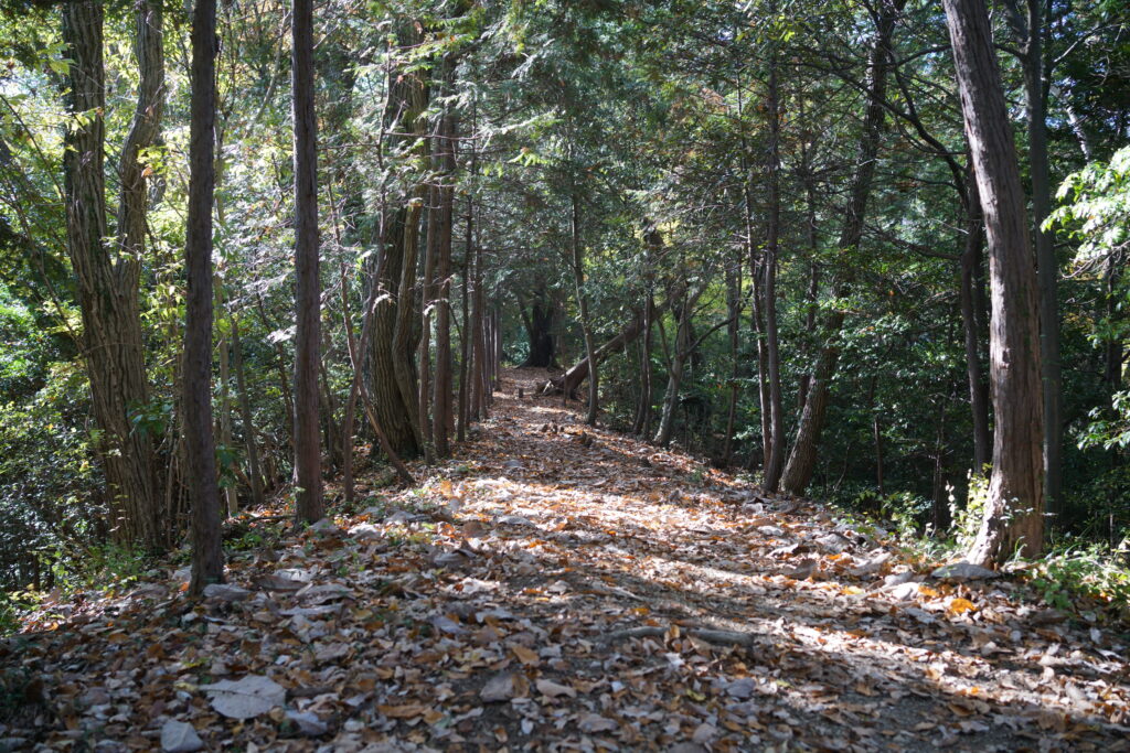 弁天山から城山への道