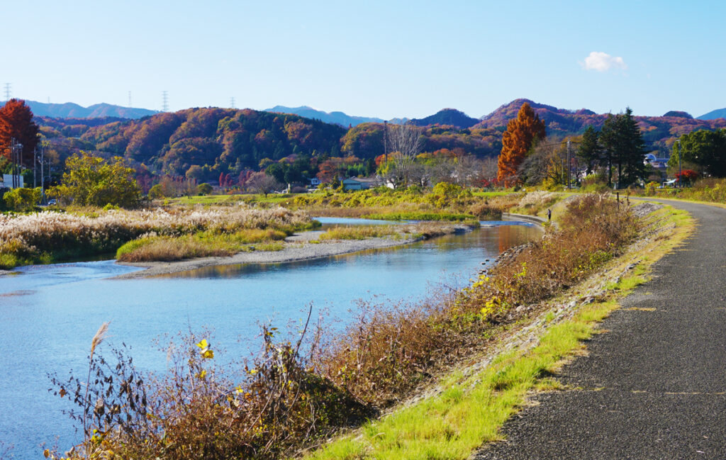 あきる野の秋川沿いに紅葉を見る