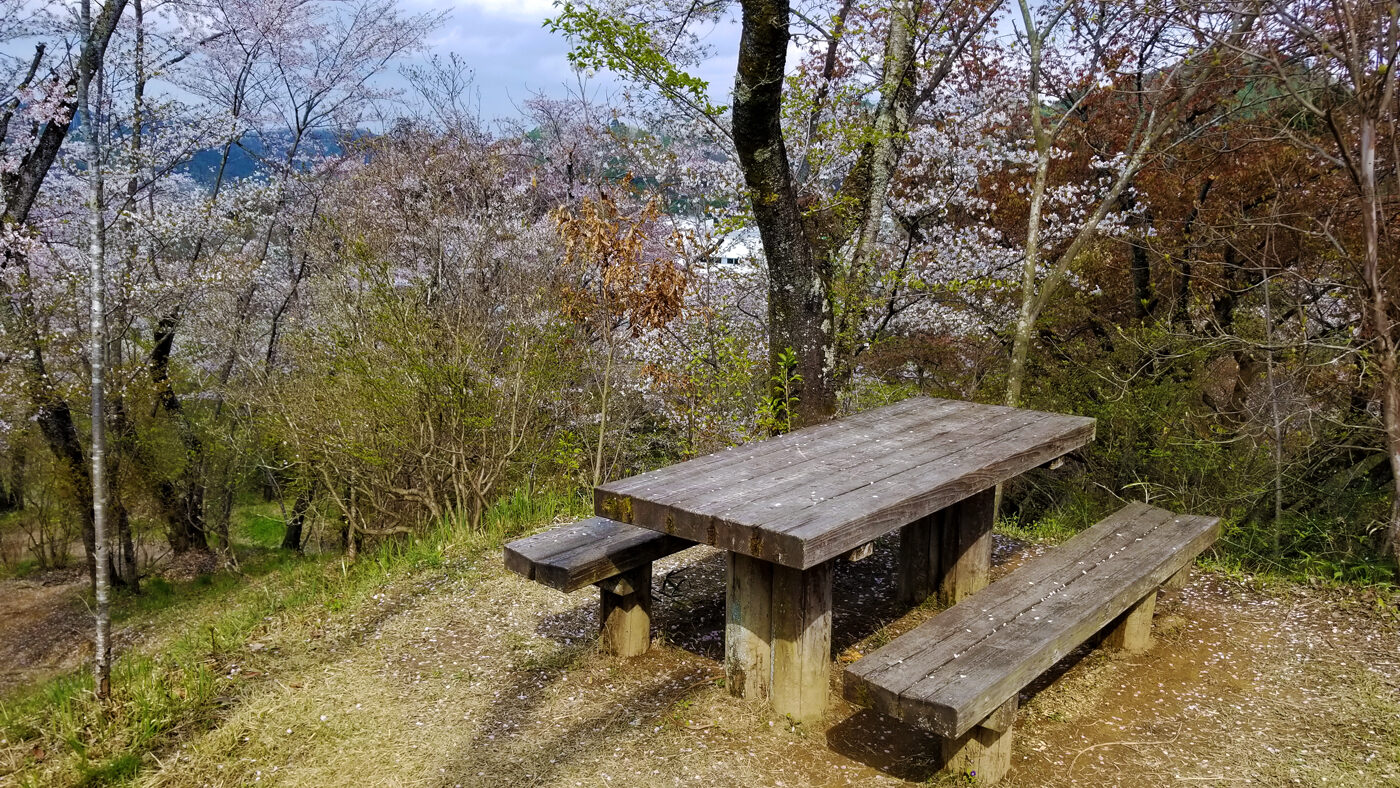 小峰公園のさくら坂のベンチ