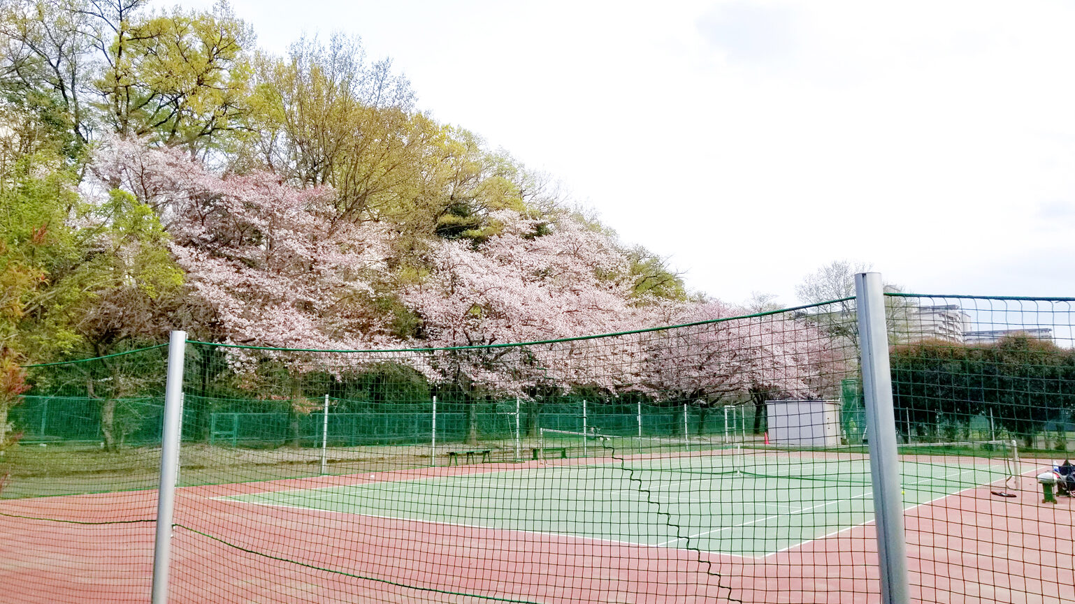 多摩川緑地福生南公園のテニスコート