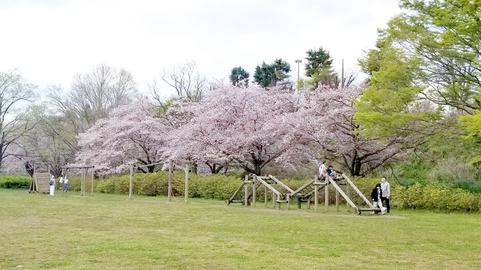 多摩川緑地福生南公園のアスレチック