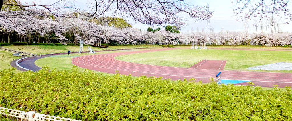 秋留台公園のトラックと桜