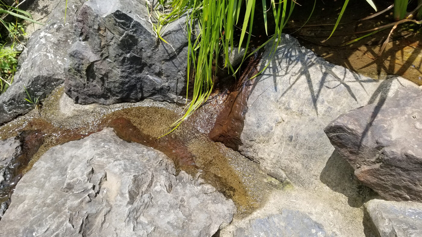 日の出町鹿弥大佛の湧き水